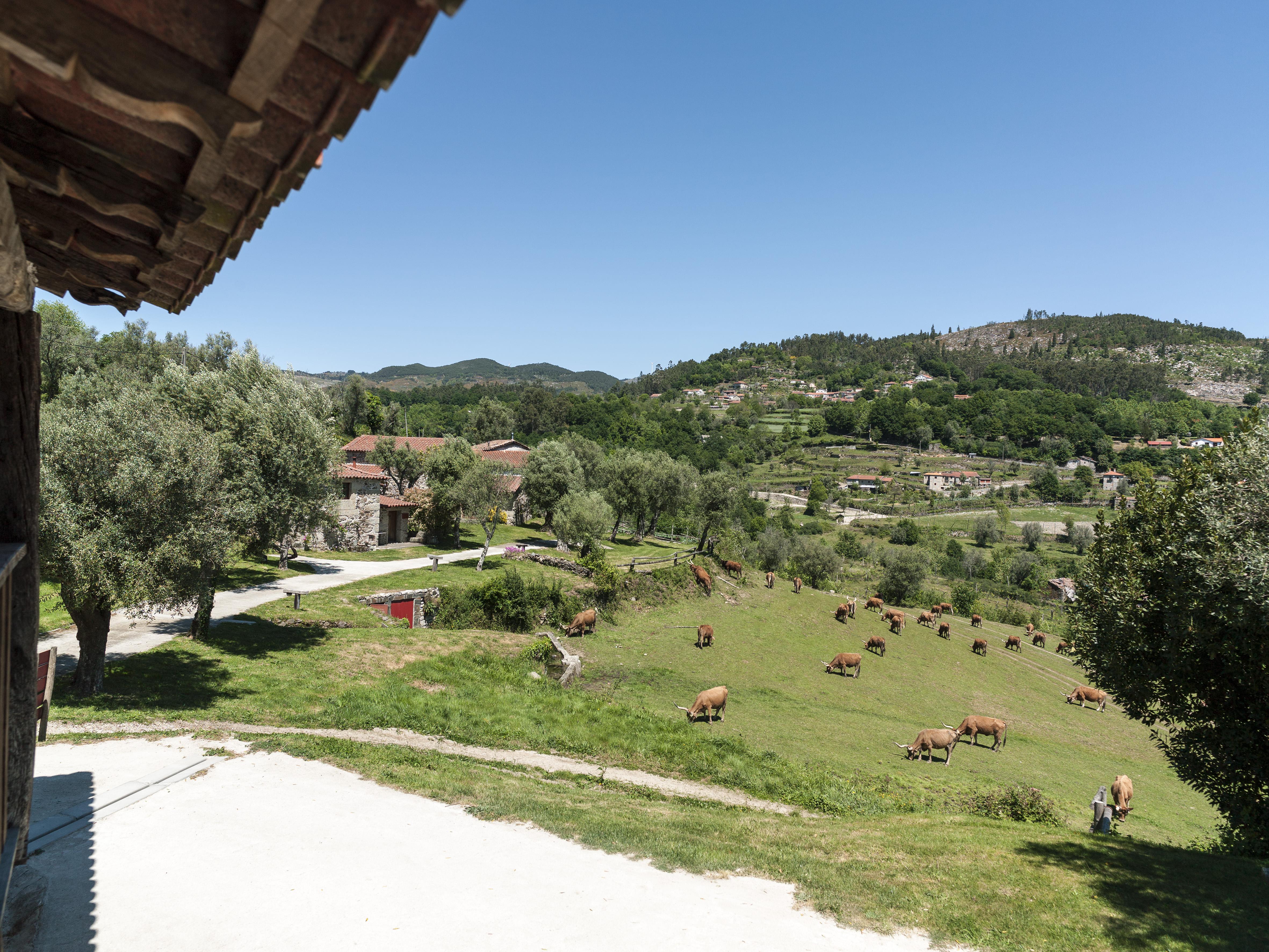 Quinta Do Rapozinho Villa Cabeceiras de Basto Luaran gambar